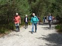 2014-06-05 11-57-59 Foret de Fontainebleau FGn